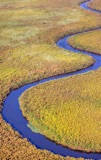 Vumbura Snake River